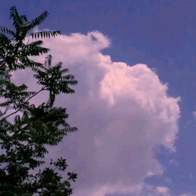 怪物小精灵官方版下载